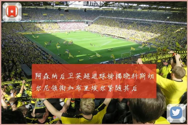 阿森纳后卫英超进球榜揭晓科斯切尔尼领衔加布里埃尔紧随其后